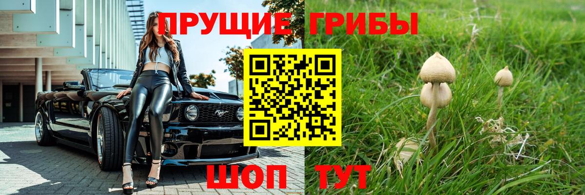 где найти   Галлюциногенные грибы Psilocybe  Вход с VPN  Борисоглебск  Псилоцибиновые грибы ЛСД 